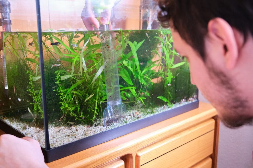 Image d'un aquariophile utilisant un aspirateur à gravier pour effectuer un changement d'eau dans un aquarium.