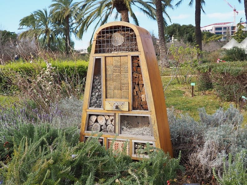 hotel a insecte pour abeille a installer dans votre jardin